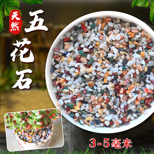 Runhuanian Pure Rain Flower Stone Potted Succulent Pavement Stone Small Multicolored Stone Fish Tank Pavement Ornamental Stone Colorful Small Stone Multicolored Stone 3-5mm 1Jin Jin is equal to 0.5 kg. Pack a