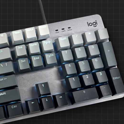 Logitech K845 mechanical keyboard, wired keyboard, gaming office keyboard, e-sports, green tea red axis keyboard, computer laptop backlit DIY keycap, full size 104 keys, K845-Early Day keycap