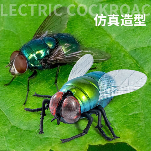
Chisen Remote Control Fly Black Technology Internet Celebrity Big Decompression Artifact 26-year-old Boy Girl Children's Toys Prank 5 [Remote Control Ladybug] Red 9922+ Screwdriver All-Size