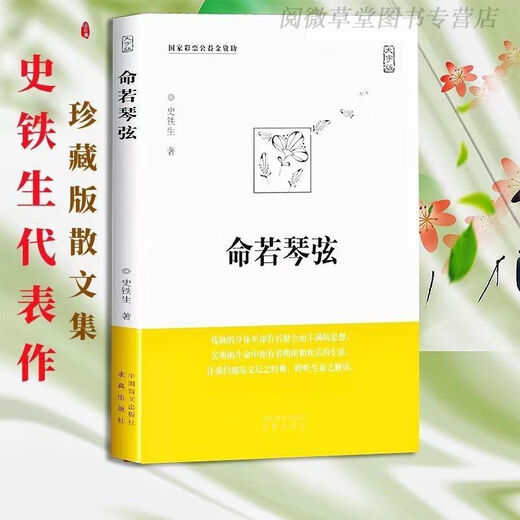 1593 люди собирают меня, и Дитан Вусу отмечает работу Tiesheng со сломанной ручкой и струнами ручки. Я и Дитана + WUXU Notes