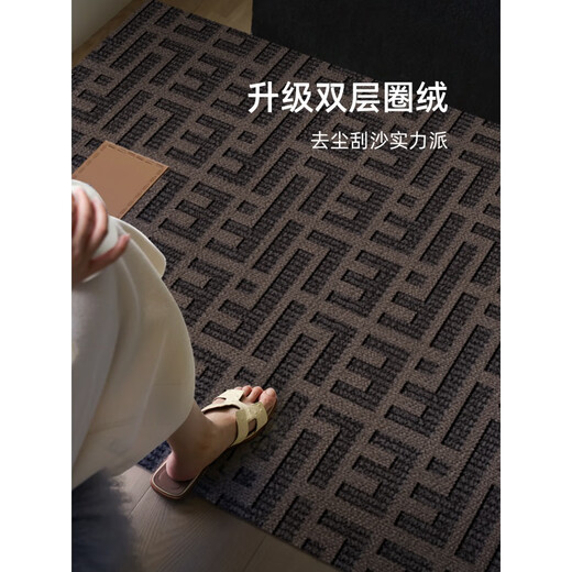 小电兜 XELECPOCKET玄关地毯入户门地垫新款轻奢感进门门口入门地毯耐脏门垫门外 朝暮-14109 80cm*120cm【入户小尺寸】