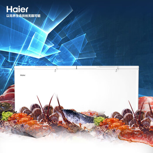 海尔（Haier）冷柜300升以上大容量家用商用卧式冰柜节能减霜80%深冷速冻超低温全冷藏冷冻保鲜海鲜茶叶冷冻柜 【-38 °C】减霜80%+五面制冷 829L