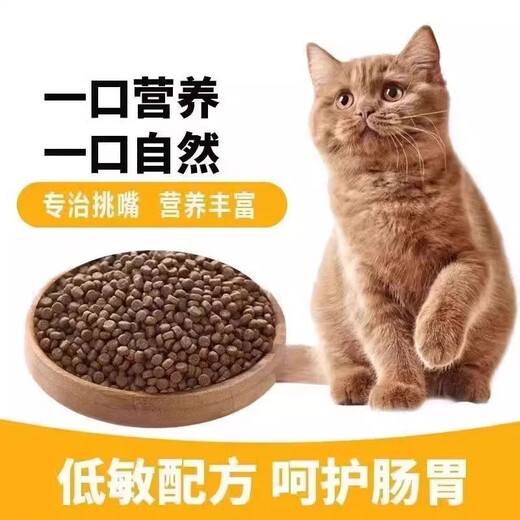 He Jian Gong fresh meat nutritional cat food 5 Jin Jin equals 0.5 kg Ocean fish flavor adult cat food stray cats general 10 Jin Jin equals 0.5 kg 4 Deep sea fish flavor cat food 5 Jin Jin equals 0.5 kg 1lb