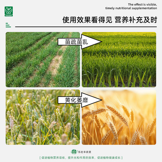 Lezhuangfeng 28 epibrassinolide plant growth regulator to strengthen seedlings, foliar fertilizer, promote flower growth, and eliminate drug damage 1000ml bottle