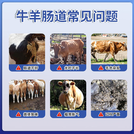 Yingmeier Veterinary Enzyme Probiotics for Pigs, Cattle and Sheep with Probiotics to Condition the Intestine and Gastrointestinal Growth Promotion Feed Additive Wholesale Concentrated Probiotics*1 Pack Total 2Jin Jin equals 0.5kg