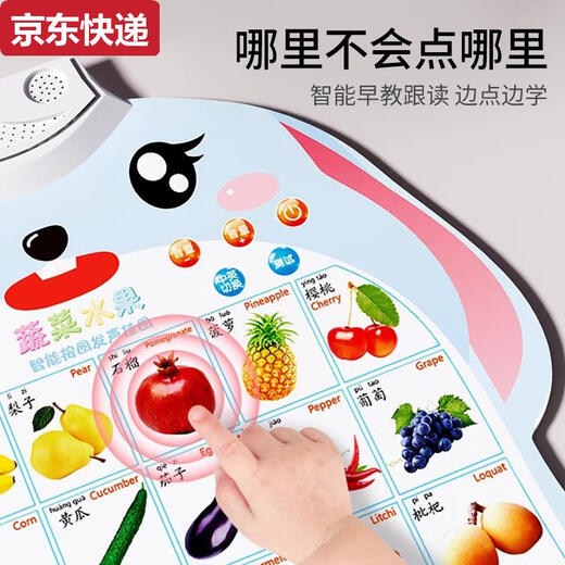CAOX看图识字识物宝宝儿童玩具认知语音启蒙早教墙贴发声有声挂图2岁 3张组合果蔬+动物+交通
