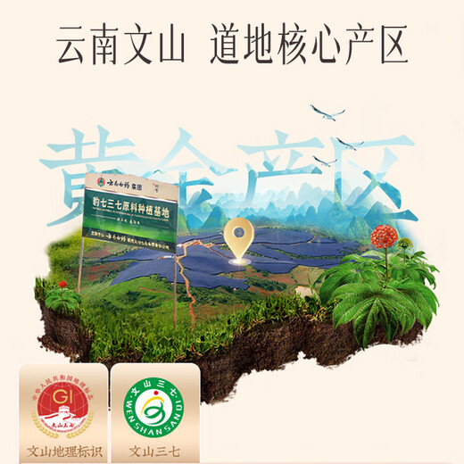 云南白药三七极细粉50g 云南文山原产 中老年日常心脑血管养护粉 消肿定痛 跌扑肿痛  散瘀止血中秋节礼物