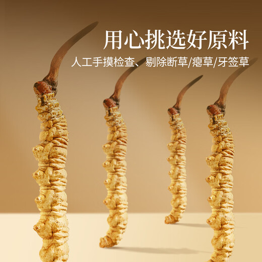 同仁堂正宗同仁堂品牌冬虫夏草约5根/g2g约10根冬虫草滋补品礼品高端