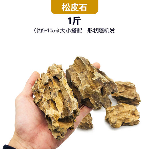 Landscape stone stream stone fish tank landscaping stone potted plant real stone grass tank rockery small bonsai micro landscape pine skin stone 1Jin Jin is equal to 0.5 kg (about 5-10cm)