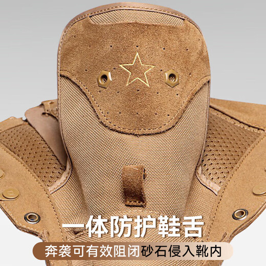 际华三五一三新式棕色作战靴作战鞋超轻防滑侧拉链训练靴沙漠高帮户外登山鞋男 棕色21作战鞋【标准】 42 【260】两双鞋垫
