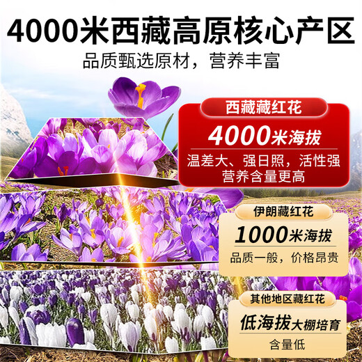 Zhenhuang beijing tongrentang azafrán auténtico todos los filamentos rojos para esposa y madre nutrición 2g