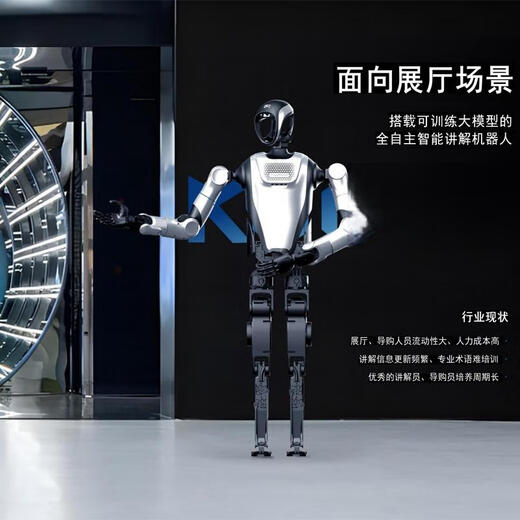 苏萌蒙类人形迎宾接待机器人商业演出大模型语音交互展厅导览讲解具身机器人数字展厅学校教育科研运动 浅灰色（勿拍，详询客服）