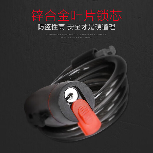 飞鸽 自行车骑行装备配件山地车防盗锁便携式密码钢缆丝链子密码锁 圈圈钥匙锁【0.4米】