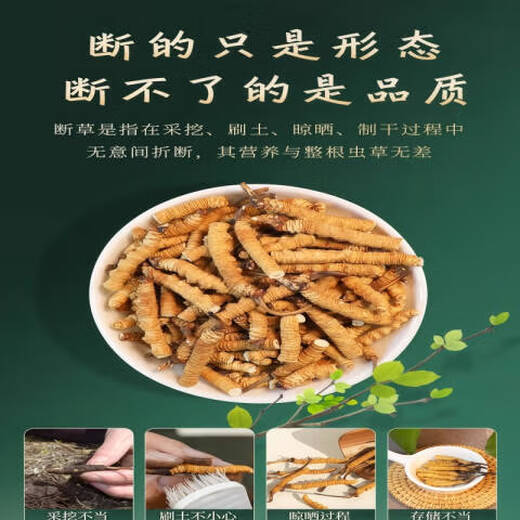 
Beijing Tongrentang Pang Donglai Tong Quality [Support Quality Inspection] 10 grams of large broken grass authentic Cordyceps sinensis cordyceps sinensis cordyceps sinensis 20 grams packed with two grams 22 grams