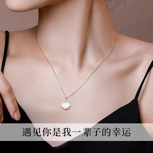 Dirholl Yibeizi platinum necklace, simple and fashionable clavicle chain, Valentine's Day birthday gift for wife and girlfriend PT950 platinum necklace + Yibeizi projection pendant, free engraving - ghostwriting greeting card - exclusive gift box