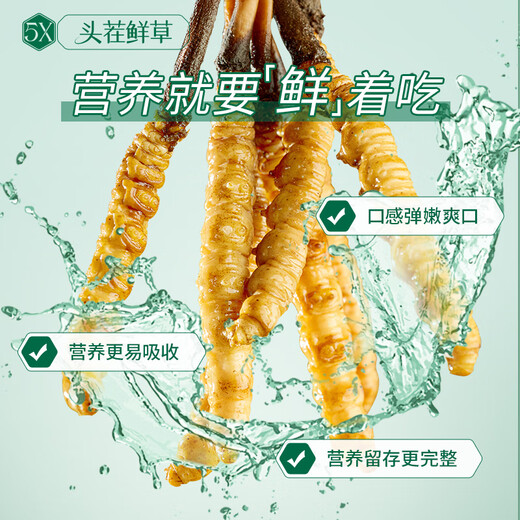 Ayishe The first fresh Cordyceps sinensis fresh Cordyceps gift box in 2025 is delivered to the elders in the Dragon Boat Festival gift 0.6 grams/root 30 gift boxes