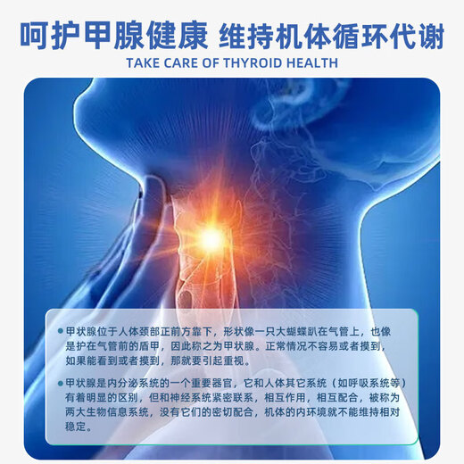 mythsky甲腺宝猫爪草胶囊呵护脖子甲腺健康男女官方秘境天空官方正品 mythsky猫爪草胶囊1瓶