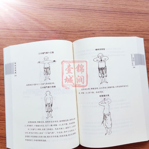 易筋经辑要-道教内丹修炼动功导引精萃-唐山玉清观道学文化丛书 董沛文 主编 增演易筋洗髓内功图说(上下卷684页)
