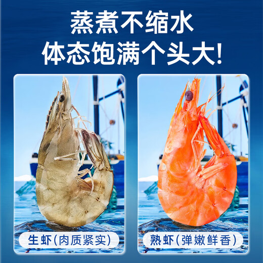 Linglue Qingdao Salted Frozen Prawns Net Weight 3Jin Jin is equal to 0.5kg 75-90 pieces Salted Frozen White Prawns Prawns Base Shrimp Fresh Shrimp
