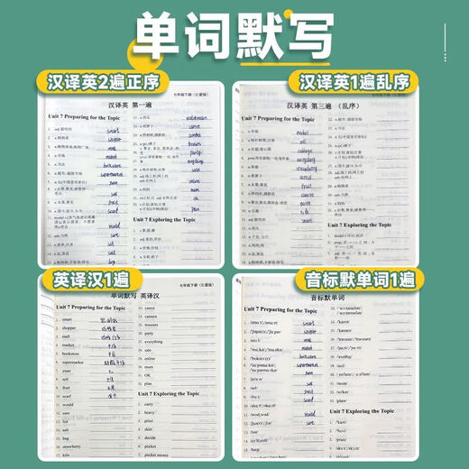 
[1462 repurchase] Renai version English-Chinese translation junior high school seventh grade English vocabulary phrase dictation exercise book 2024 autumn new version Renai 7 first and second words dictation (1 book in total)