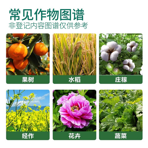 Guoguang Genpan 5% indolinacetic acid tree bonsai flower seedling cutting rooting liquid universal pesticide growth regulator