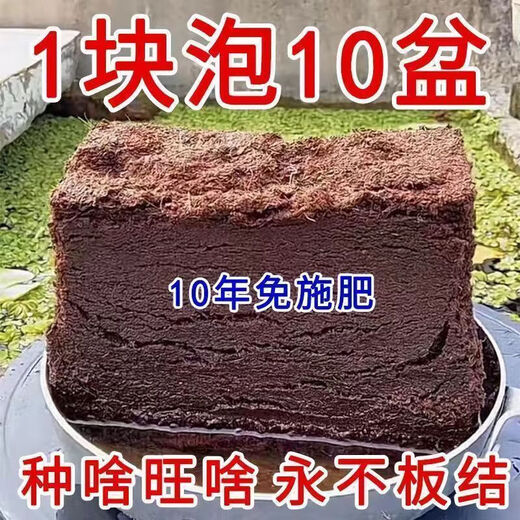 High foaming coconut brick nutritious soil compressed coconut bran desalination general soil for growing vegetables and flowers planting large pieces of coconut bran soil 4 coconut bricks high quality/high nutrition/high foaming