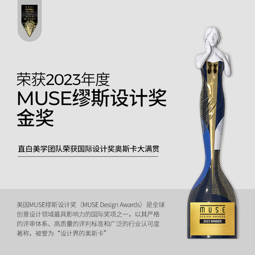 Straight-forward high-speed hair dryer for home high-wind negative ion hair care low-noise quick-drying hair dryer selection gift box birthday gift for girlfriend national subsidy S1 white low-end version