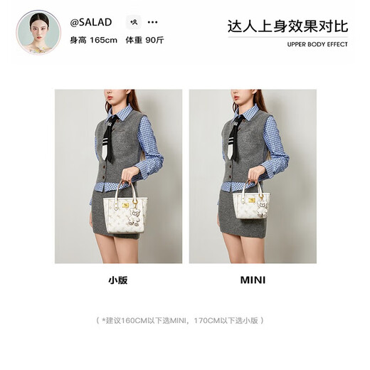 纽芝兰（NUCELLE）沈月同款飞马mini托特包2025新款单肩斜挎菜篮子手提包七夕礼物女