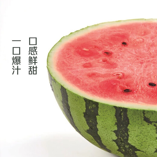 【产地直采】麒麟奶油西瓜 约5.5kg