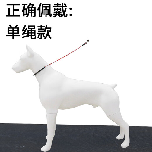 Wenzhi pet grooming fixed lanyard sling accessories cat and dog scissors shaving holder grooming table bathing wire hanging rope universal cat and dog grooming sling*30Jin Jin is equal to 0.5 kg