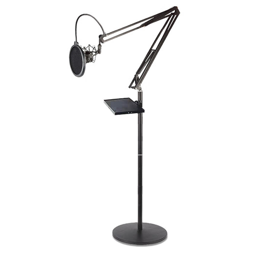 Qianli recording studio floor-standing cantilever stand, microphone stand, integrated mobile phone live broadcast condenser microphone vertical stand, regular version short cantilever + tray