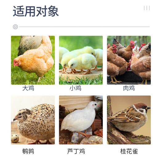 Zhengda 521 Chicken Feed, Chick Opening, Chicken Feed, Wholesale Medium Chicken Food Premix 80Jin, Jin is equal to 0.5kg, Zhengda 521 Chicken Feed, 5Jin, Jin is equal to 0.5kg