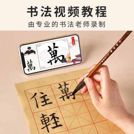 Liupintang brush calligraphy starter set for beginners, four treasures of the study, beginners, adults, brush calligraphy copybook, calligraphy practice paper, water writing cloth, primary school students, children's pen, ink, paper and inkstone, 19-piece set, high cost performance, large storage box