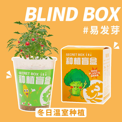 植物盲盒小盆栽绿植幼儿园小礼物室内种植蔬菜种子小学生桌面观察 植物盲盒【随机2盒】