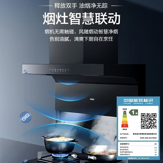 HAIL RANGE HOOD 25 Cúbico Gran succión Hogar de tres rondas de 7 palabras Control inteligente Autoclejado EC719UD CAPA Campón de gas Estufa de humo Estufa de humo [conjunto de dos piezas] Fire la estufa de gas natural Q2BE58+EC719