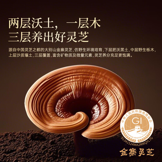 Zhizhengyuan Break Wall Ganoderma Lucidum Spore Powder Capsules 6 Gift Box for Half a Year Package for Your Own Gifts to Parents Enhance Immunity