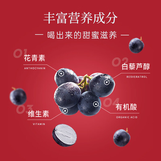 通化 1937山葡萄气泡酒7%vol起泡酒微醺 500ml*6整箱 聚会送礼新老包装交替