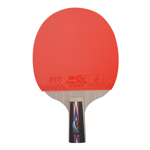 Pisces table tennis racket double racket set pendulum horizontal racket 6D six-star table tennis racket table tennis racket 2 pieces with 6 balls