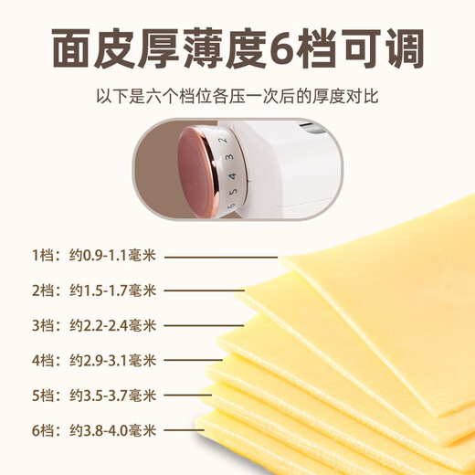 SINYDER 面条机 电动压面机家用小型全自动切面条机混沌皮饺子皮面条一体机压面器多功能馄饨皮擀面机制面 旗舰款|细面/宽面（2种面条+6档调节厚薄压面）