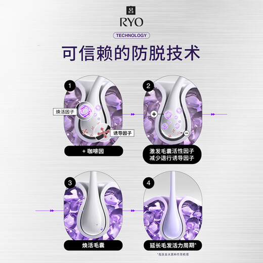 Ryo Anti Hair Loss Shampoo 400ml Strong Hair Root Silicone-Free Ginger Shampoo Certified by Dad