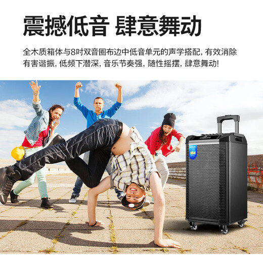Philips outdoor stage high-power square dance audio mobile portable trolley commercial conference speaker wireless Bluetooth high volume karaoke amplification with dual microphones SD180 8-inch bass + dual microphones