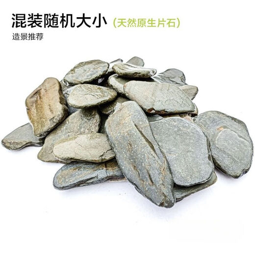 Pure natural stream stone fish tank landscaping stone flakes turtle basking back schist rockery terrace landscaping stone customized 5-10cm schist size matching