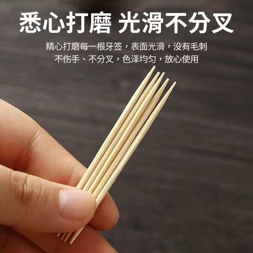 Electric toothbrush oral care artifact accessories double-ended bamboo pick toothpick household commercial wholesale electric toothbrush battery model about 480 toothpicks (6 bags)
