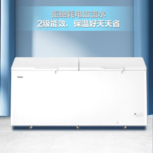 海尔（Haier）冷柜300升以上大容量家用商用卧式冰柜节能减霜80%深冷速冻超低温全冷藏冷冻保鲜海鲜茶叶冷冻柜 【-38 °C】减霜80%+五面制冷 829L