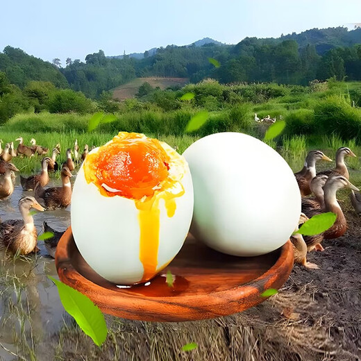 
Fresh salted duck egg 50g/piece of oily duck eggs red heart duck egg ready-to-eat salted egg breakfast supermarket red heart fresh 50g [10 pieces]
