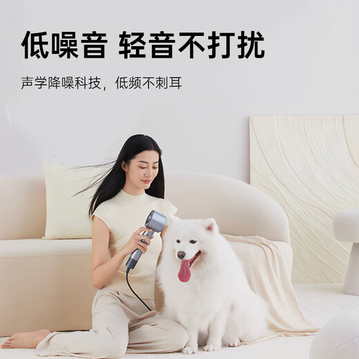 KEHEAL national subsidy Kesi high-speed hair dryer 3.6 billion plasma hair care power generation hair dryer household negative ion hair care quick-drying hair dryer recommended gift HC5 champagne powder