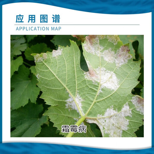 Xima original powder 80% dimethomorph water dispersible granules grape downy mildew pesticide fungicide 300g (10g*30 bags)