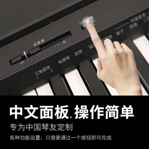Yamaha Electric Piano P48B tragbarer 88-Key-Hammer-Smart Digital Piano-Bewertungshome P48 Host + Holzregal + Drei Stufen
