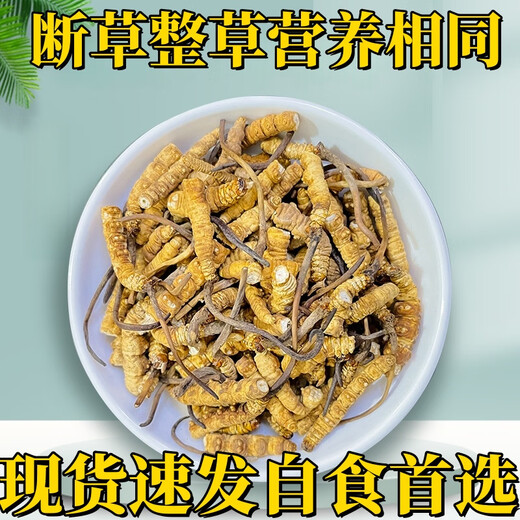 Cordyceps sinensis high-altitude cordyceps sinensis genuine nourishing 20 grams for 2 grams for self-use authentic home outfit. Tibet Nagqu fine big broken grass buy 30 grams for 3 grams for free
