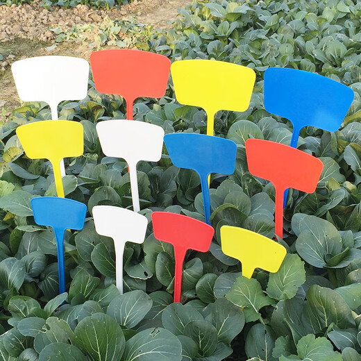 BENXINNONG fan-shaped ground sign gardening flower thickened plastic sign can be written on the sign plant label HXM5 multi-color height 45cm 10 pieces